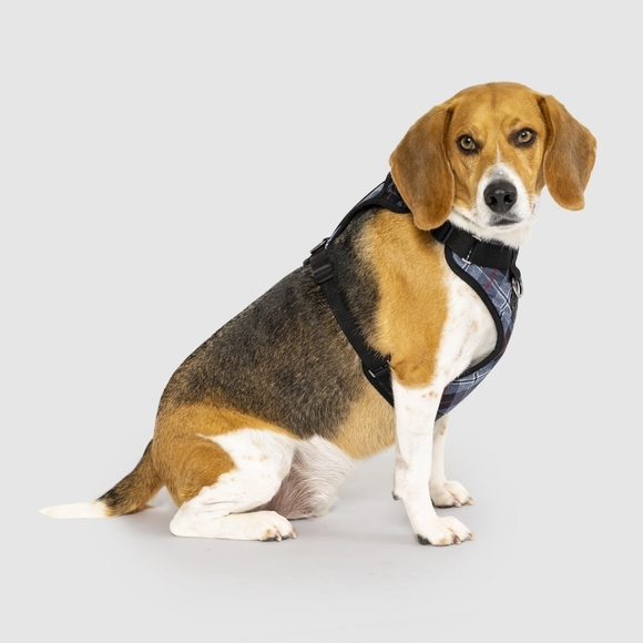 Canada Pooch Everest Explorer Red Fleece Lined Insulated Dog Coat, Size 10/S (R1 - Picture 3 of 5